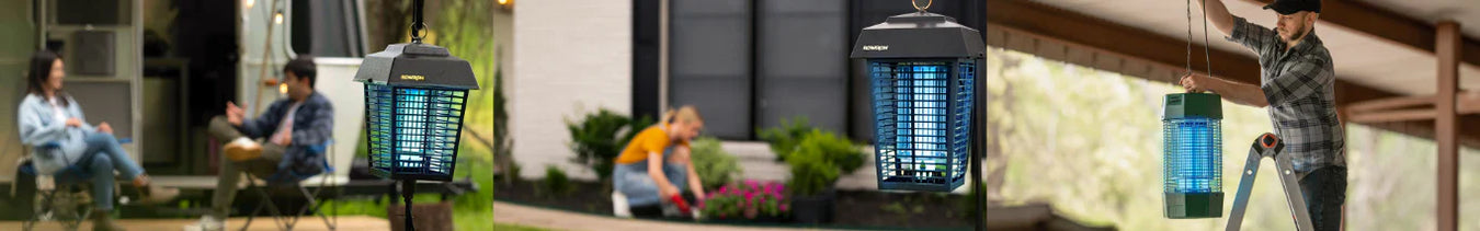 Pest Control