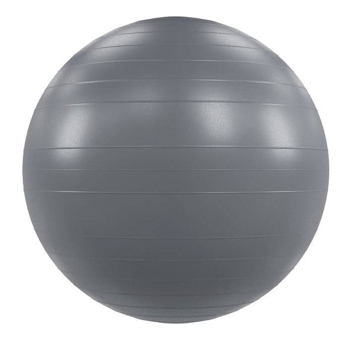 Power Systems Versa Ball Pro Stability Ball