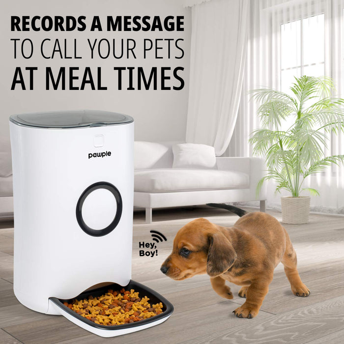 Automatic Pet Feeder, Food Dispenser for Cats, Dogs & Small Animals with Timer up to 4 Meals a Day