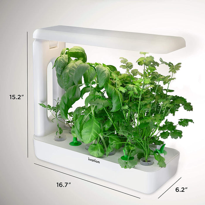 12-Pod Hydroponics Growing System, Indoor Greenhouse Box with Grow Light