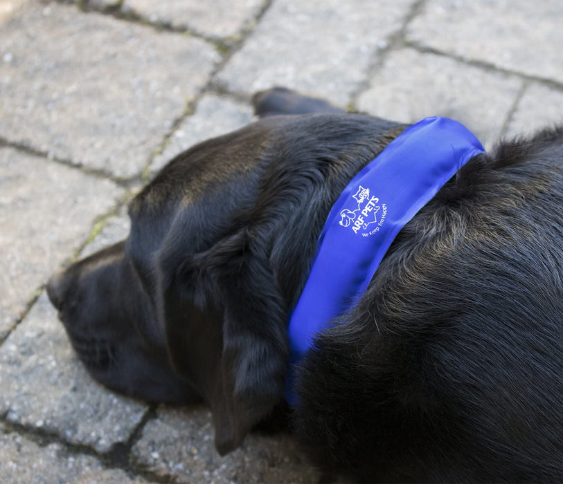 Cooling Dog Collar, Non-Toxic Dog Cooling & Relieves Heat Stress - Stays Cool for Hours