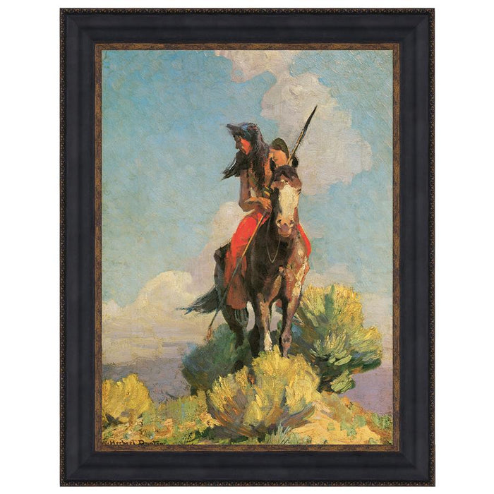 15X20 CROW OUTLIER 1896