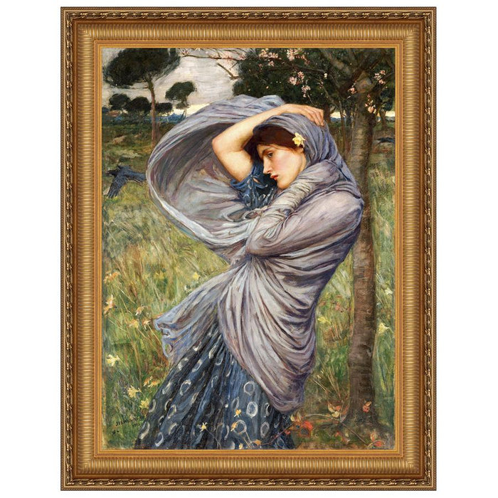 16.5x19.5 BOREAS 1903