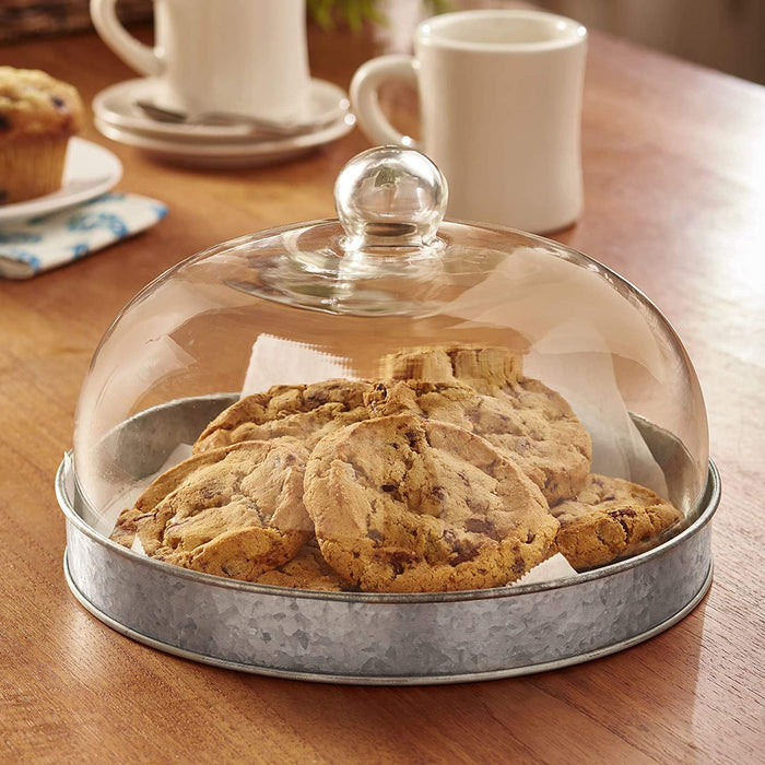 SkyMall Galvanized Metal and Glass Dome Server