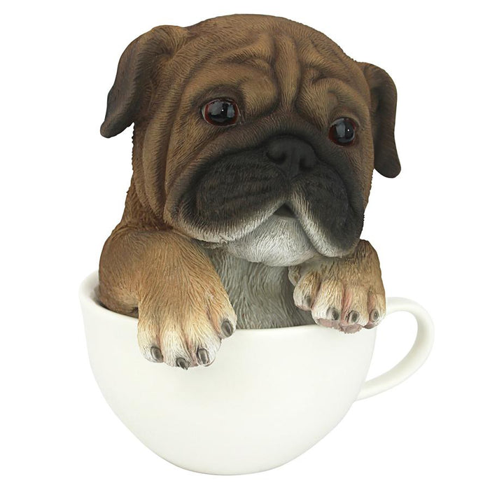 PUP IN CUP PUG