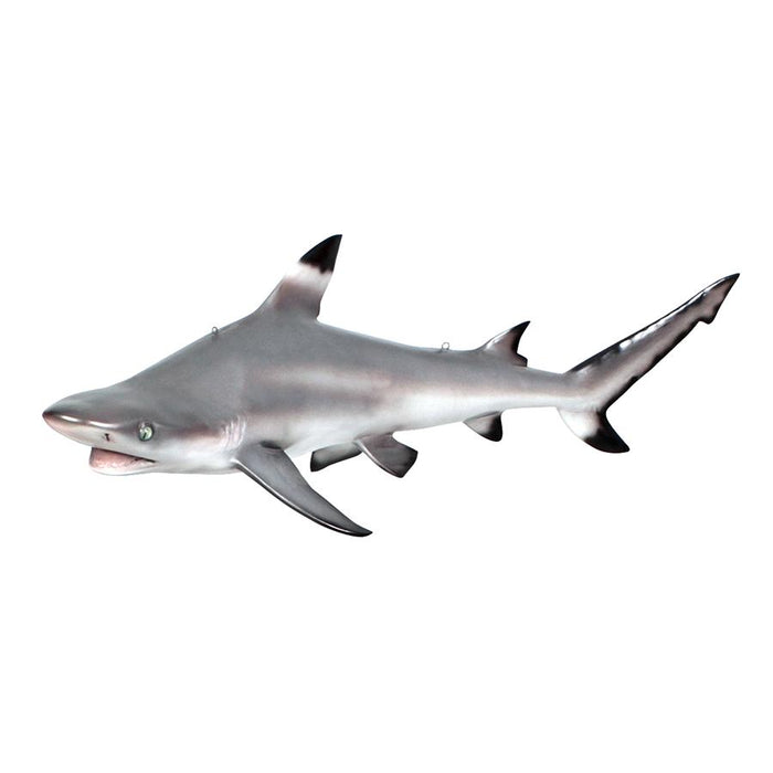 BLACK TIP SHARK CEILING MOUNT TROPHY
