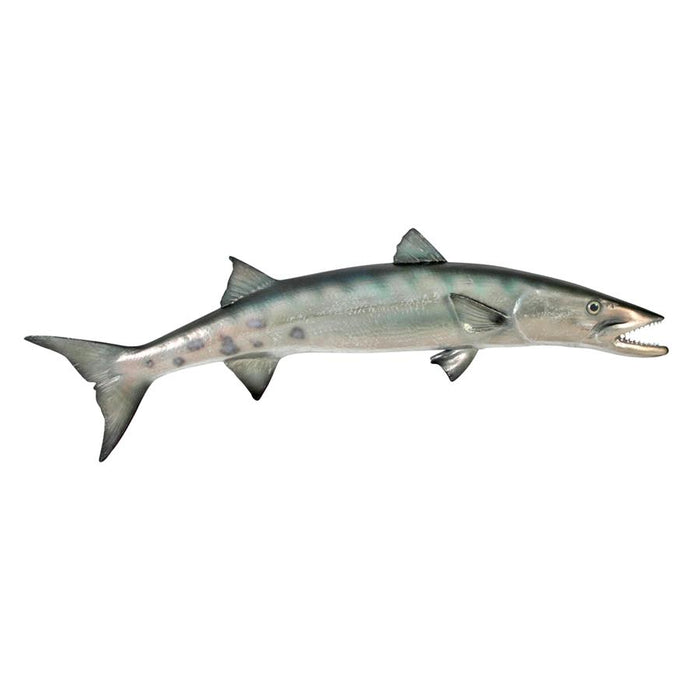 BARRACUDA WALL TROPHY