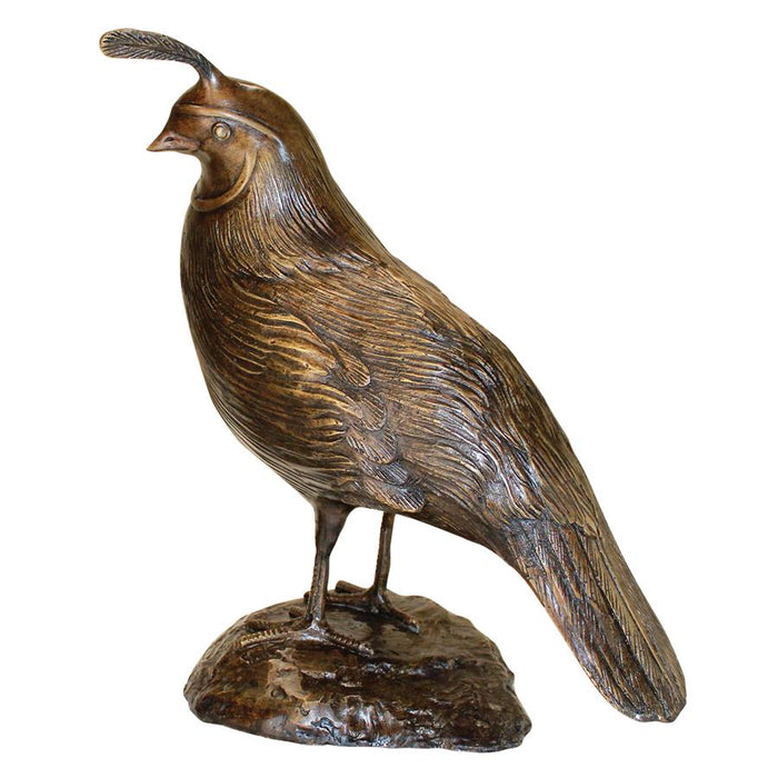 MALE CALIFORNIA QUAIL BRONZE STATUE