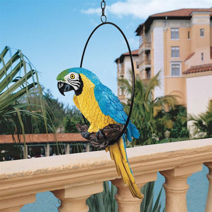 MEDIUM POLLY IN PARADISE PARROT