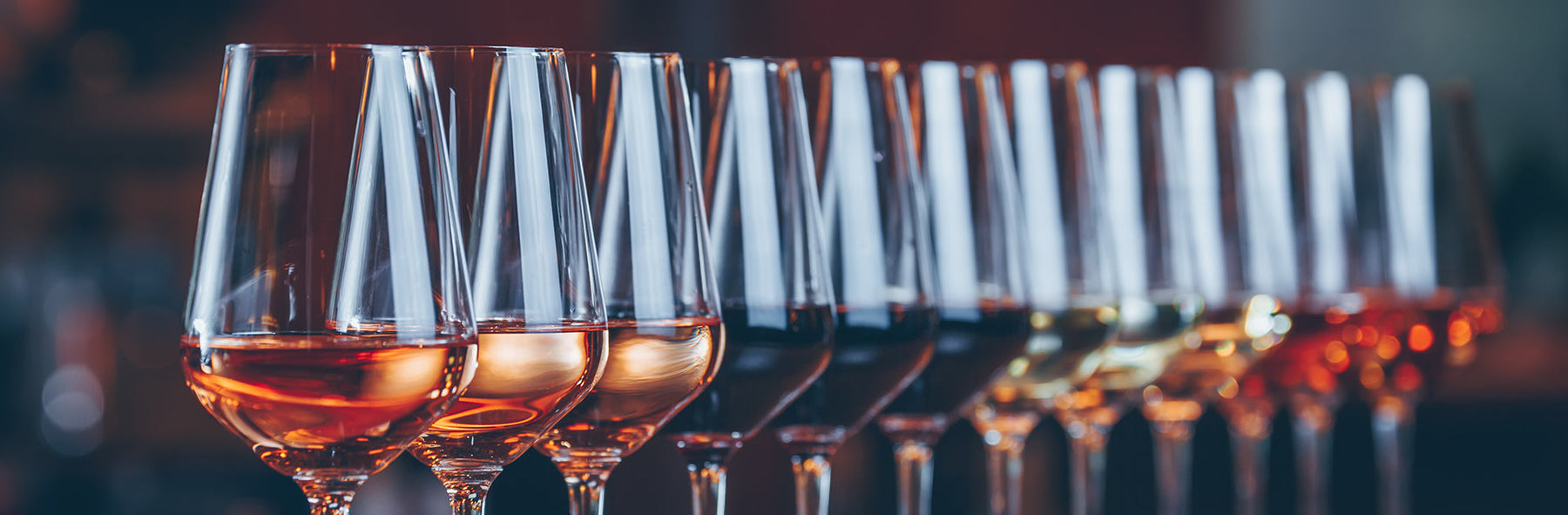Wine Cooler Buying Guide