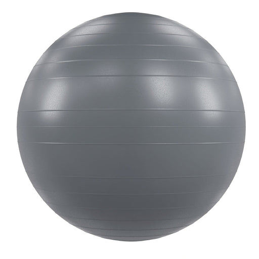 Power Systems Versa Ball Pro Stability Ball