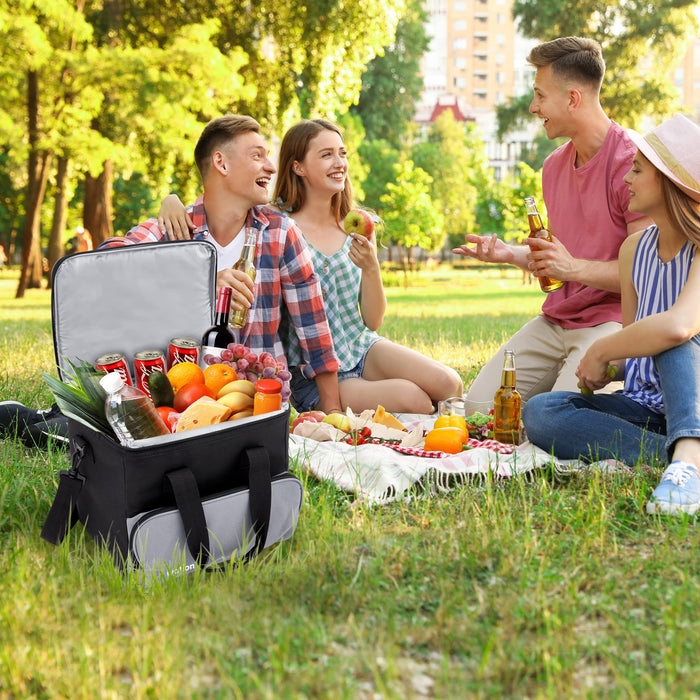 Ivation Electric Cooler Bag, 15 L Portable Thermoelectric 12 Volt Cooler with Shoulder Strap