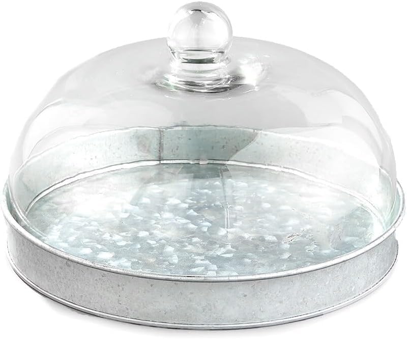 SkyMall Galvanized Metal and Glass Dome Server
