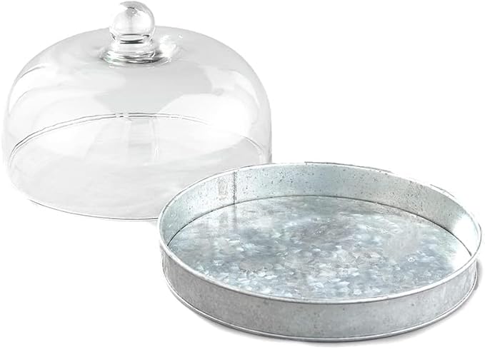 SkyMall Galvanized Metal and Glass Dome Server