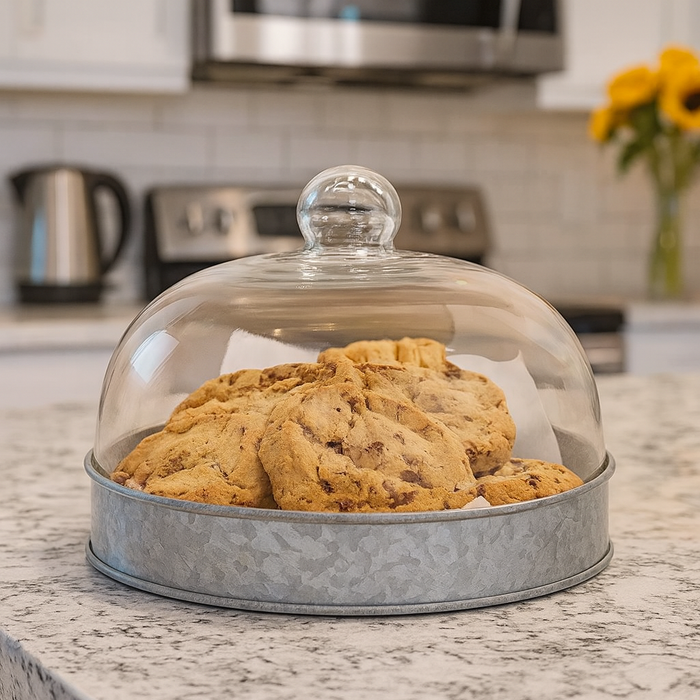 SkyMall Galvanized Metal and Glass Dome Server