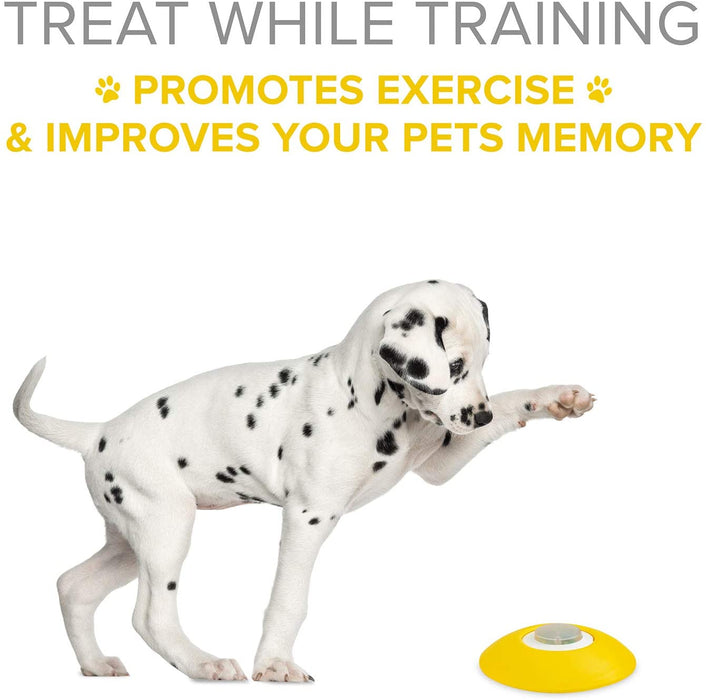 Dog Treat Dispenser – Dog Puzzle Memory Training Activity Toy