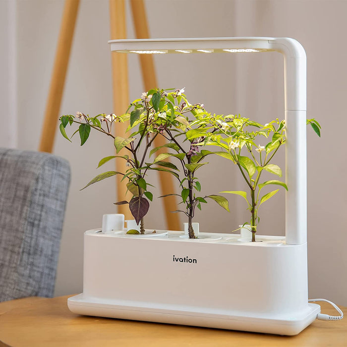 3-Pod Indoor Hydroponics Growing System Kit with LED Grow Light