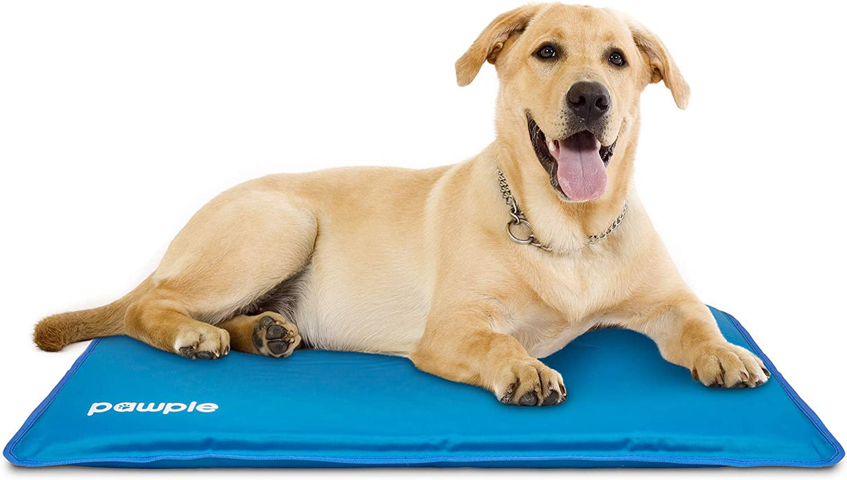 Dog Cooling Mat, 44" x 32" Dog Mat for Travel, Foam Base Cooling Pad for Pet Bed