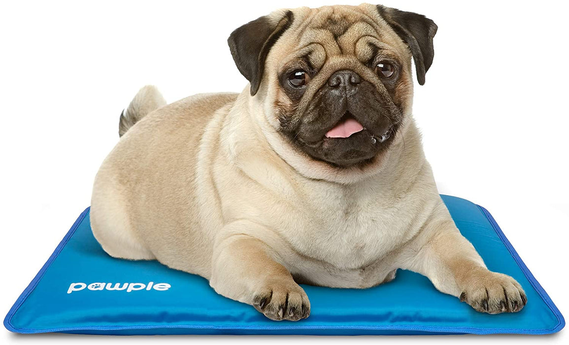 Dog Cooling Mat 24" x 17" Pet Pad for Kennels, Crates and Beds, Thick Foam Base