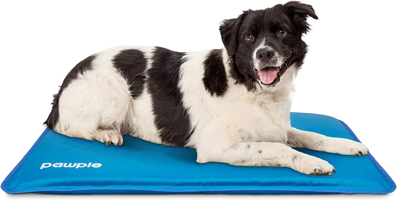 Dog Cooling Mat, 32" x 22" Dog Mat for Travel, Foam Base Cooling Pad for Pet Bed