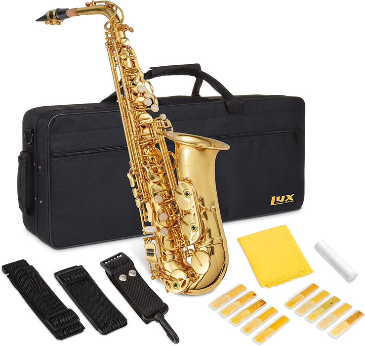 Alto Saxophone, E Flat Brass Alto Sax Beginners Kit, Gold Lacquer