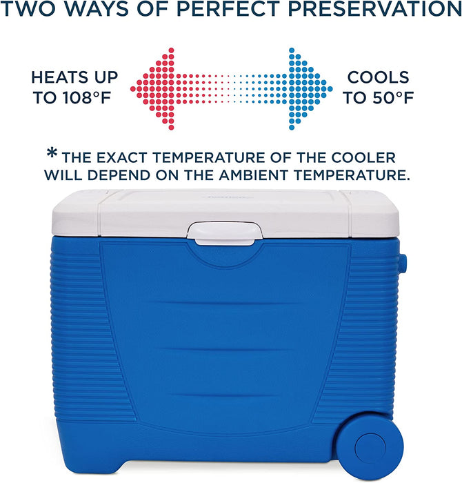 Electric Cooler (48 L), Thermoelectric Cooler, 12V Cooler & Car Fridge