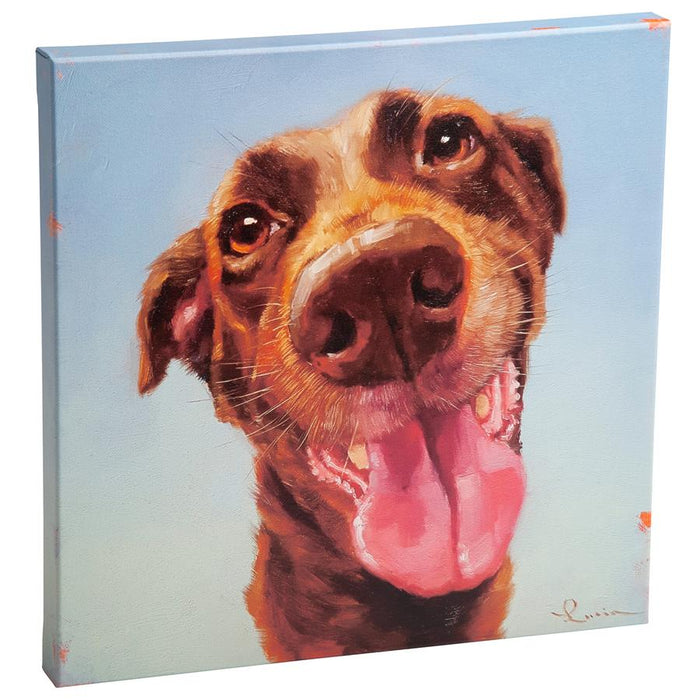 16X16 FOLLOW YOUR NOSE 5 CHOCOLATE LAB
