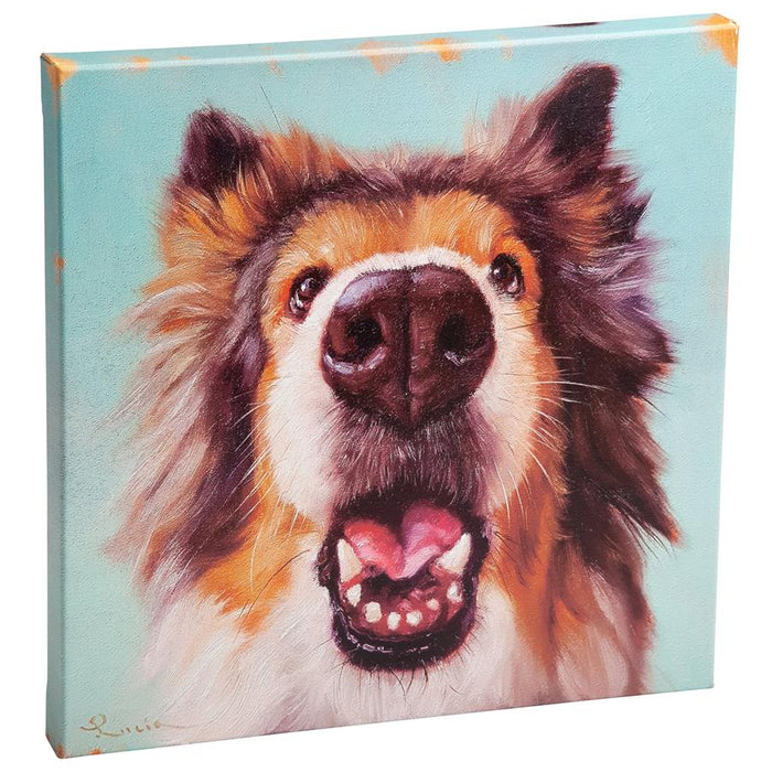 32X32 FOLLOW YOUR NOSE 9 COLLIE