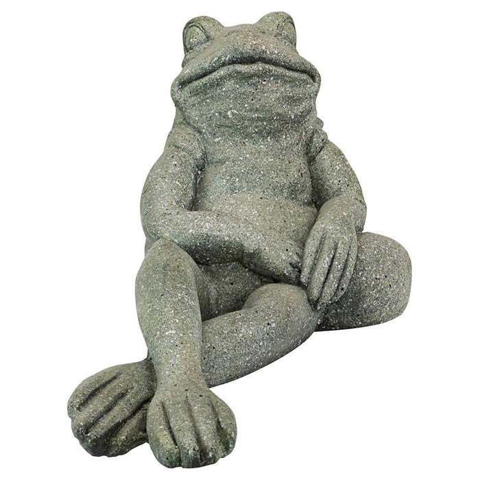 THE MOST INTERESTING TOAD IN THE WORLD