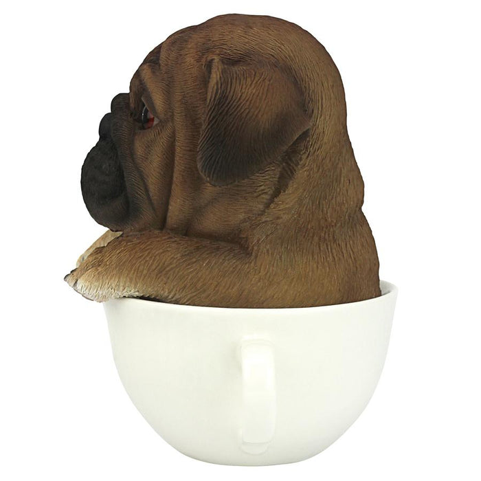 PUP IN CUP PUG