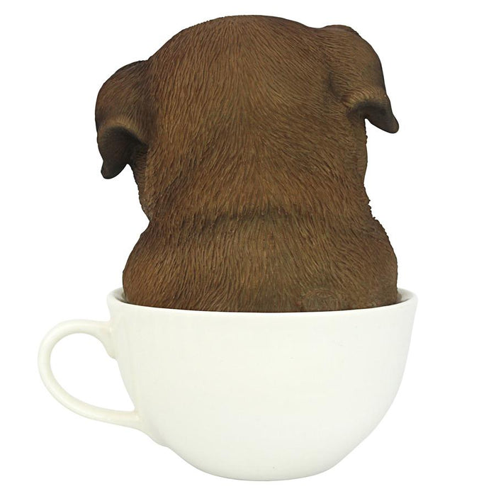 PUP IN CUP PUG
