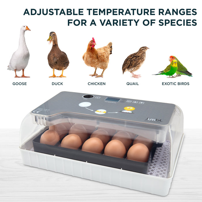 Incubator for 12 Clear Eggs, Fully Automatic Egg Incubator, Digital Poultry Hatching Machine