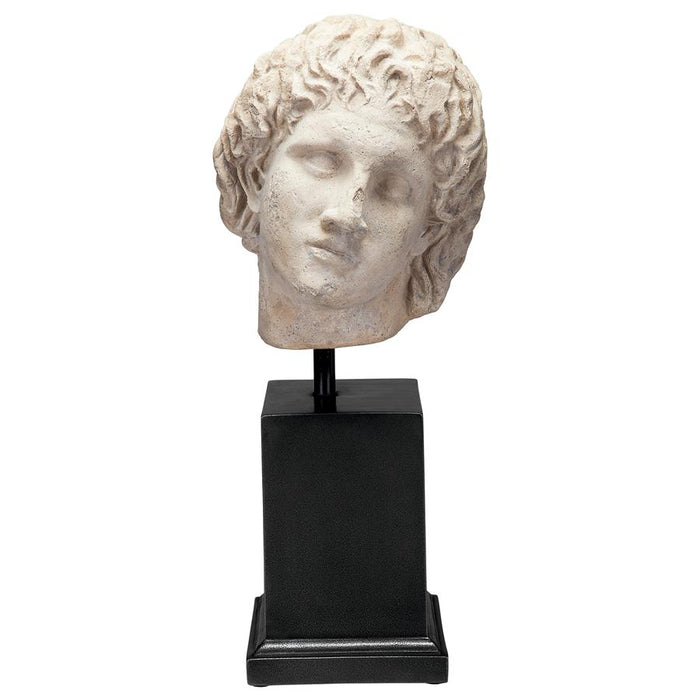 ALEXANDER THE GREAT BUST ON MOUNT