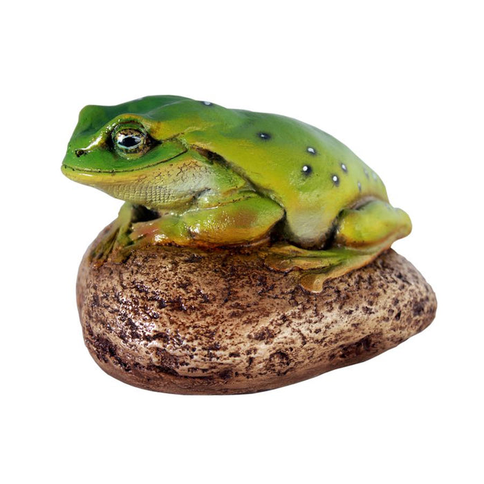 TOAD ON ROCK STATUE