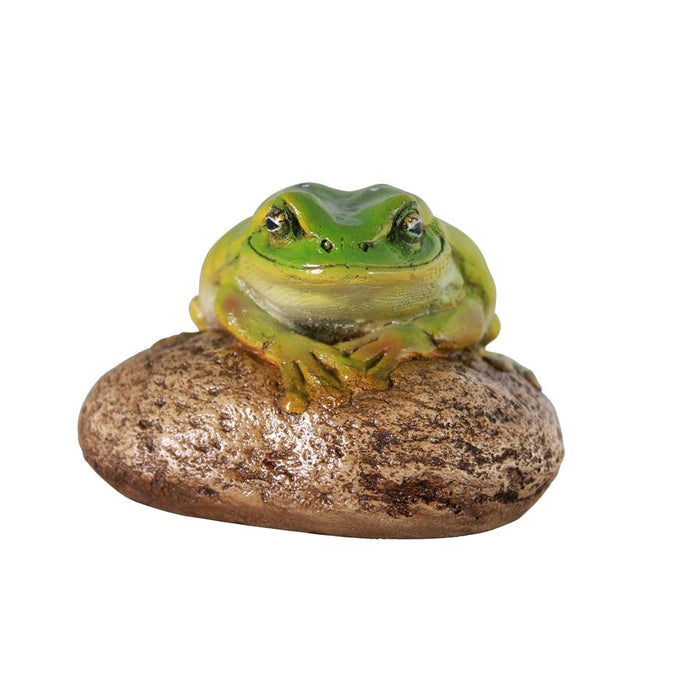 TOAD ON ROCK STATUE