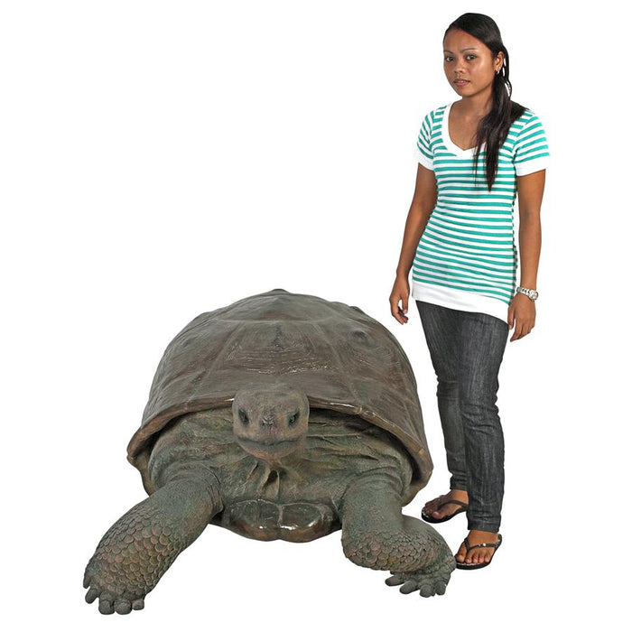 GRAND SCALE GALAPAGOS TORTOISE STATUE