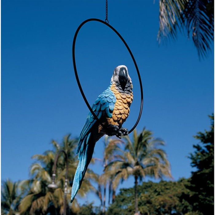LARGE POLLY IN PARADISE PARROT