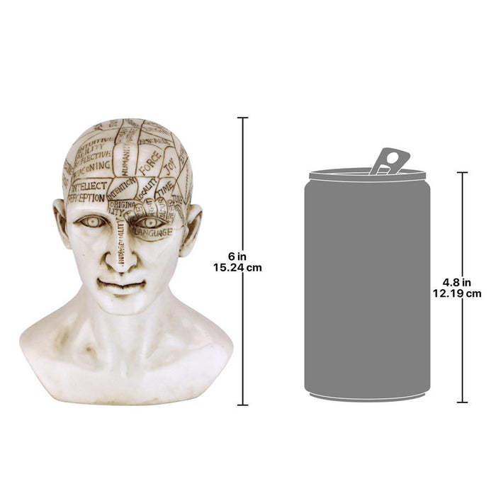 PHRENOLOGY SCIENCE OF THE BRAIN STATUE