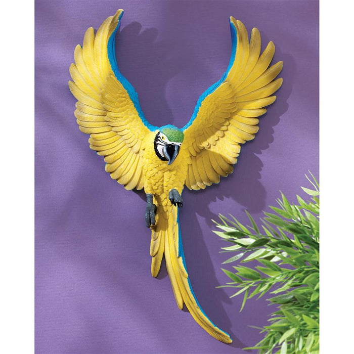 PHINEAS THE FLAPPING MACAW PLAQUE