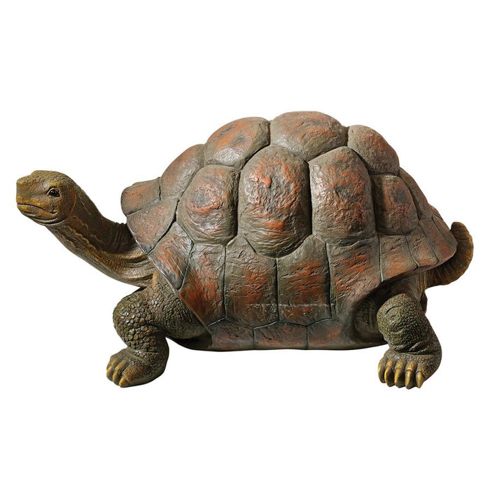 THE CAGEY TORTOISE STATUE