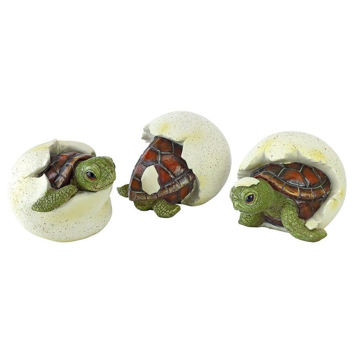 S/3 OUT OF THE SHELL BABY TURTLE STATUES