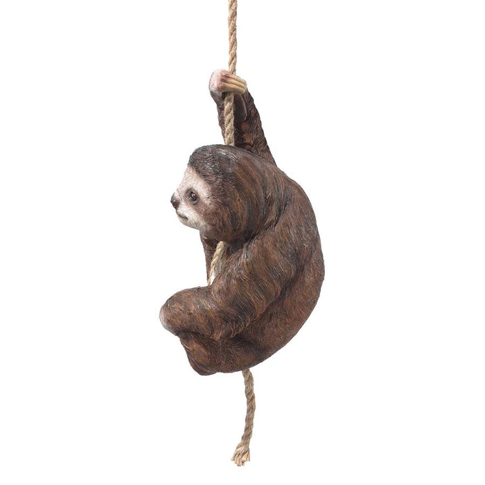 SLOTH HANGING FROM ROPE