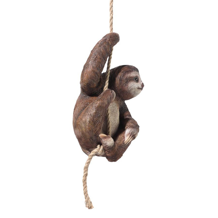 SLOTH HANGING FROM ROPE