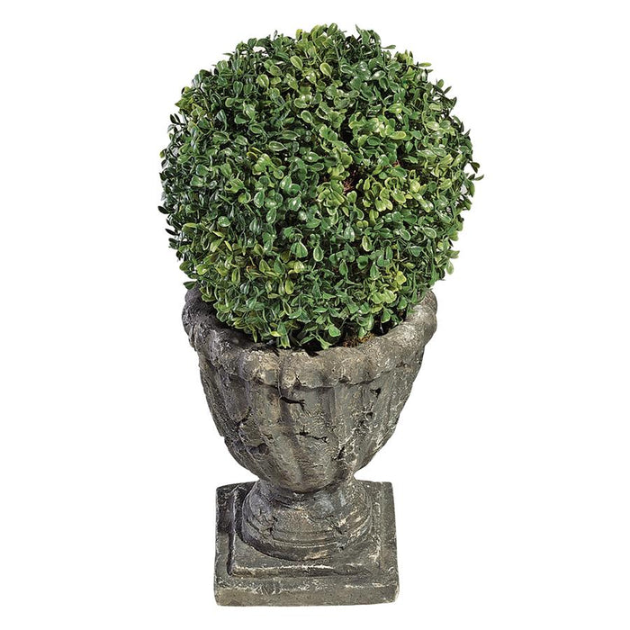 19.5IN BOXWOOD BALL TOPIARY